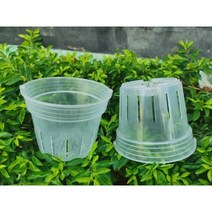 (2셋트구매시 10+1) 투명통풍화분 화분받침 - 투명통기화분 호접란 통기팟 원형 통풍화분 서양난 동양란 관엽식물 뿌리확인 슬릿통기팟