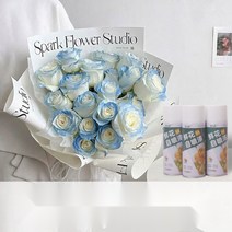 생화 스프레이 꽃 특수 염료 착색제 플라워 컬러 스프레이, 헤이즈 블루 450ml 전용 컬러 친환경 포뮬
