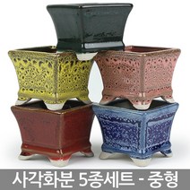 중형 NEW 사각 화분 5종세트 - 다육 다육이 대형 화분세트 도자기 선인장 베란다 사무실 인테리어 예쁜화분 국내산화분, 02_대진_사각화분5종세트(중형)