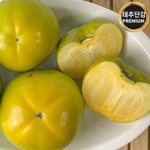 창원 태추단감 햇단감 배단감, 1박스, 5kg