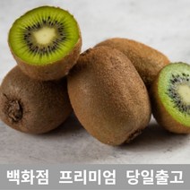 [특 등급 선별] 그린키위 6kg 키위 키위효능 레드키위 제철과일 골드키위 백향과 열대과일 참다래 골드키위효능 제스프리골드키위 제주레드키위 키위주스 골든키위 수입과일 냉동키위