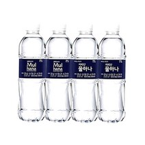 화인바이오 지리산 물하나 500mlX80 가정 회사 생수 네츄럴 미네랄 워터 먹는 샘물, 상세페이지 참조, 상세페이지 참조