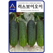 아시아종묘 러스보이 오이 씨앗종자 러스보이오이씨 오이씨앗 피클오이 피클오이씨앗, 500개