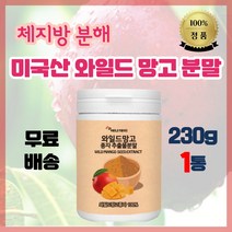 아프리카 망고종자 WILD MANGO SEED EXTRACT POWDER 미국산 와일드 망고 체지방 분해 에너지 보충 식품 230g, 1통 230g (33%할인)