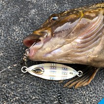 슬로우지그 SLW002 빅게임 메탈지그 지깅메탈 부시리 방어 삼치 대구 메탈, 200g, 02 레드골드 지브라