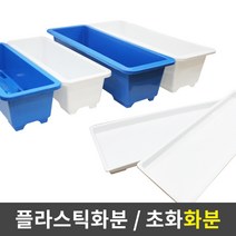세원비닐 다용도 화분 텃밭화분 초화박스, 청색
