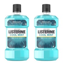 리스테린 구강 청결제 쿨민트 코스트코 구강청결제, 2개, 1L