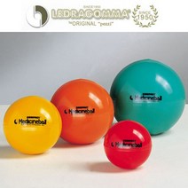 (레드라곰마 ) 짐볼 컴팩트 메디슨볼 2kg