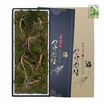 기운내삼 산양산삼 8-9년근 6뿌리 선물 세트 포장 강원도 특산품 고산지대 산지직송 농장 명품 정품 국내산 어버이날 추석 구정 명절 사포닌 진세노사이드 한국임업진흥원 품질검사합격