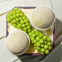 우리동네과수원 926일 오전 6시 결제건까지 명절전배송산지직송 명절 과일선물세트 멜론2입 샤인2수 (보자기 증정) -인증