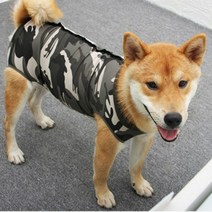 중형견 대형견 중성화 수술 복 고양이 환묘복, i블루화이트M