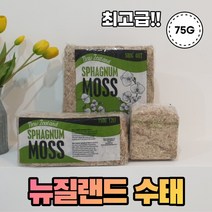 위featj_오아시스 프리미엄 꽃꽃이 스펀지 20개 꽂이스폰지 후로랄폼 원예 로랄 꽂오아이스 고정♥peacee, ♥amazingg!, 나이스