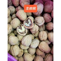 [신중국식품]생호두 2022년산 생호두 중국산 허토우 shenghetao, 1kg