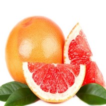 [선물용] 출고확실 자몽6KG 자몽 자몽가격 자몽효능, 6KG, 6KG