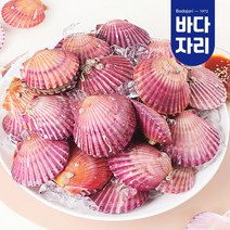 통영 청정해역 당일채취 제철 홍가리비, 홍가리비 1kg