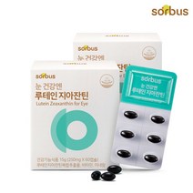 [소버스] 눈 건강엔 루테인 지아잔틴 (60캡슐) x2박스, 상세 설명 참조, 상세 설명 참조