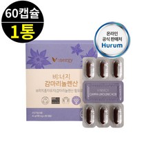 비너지 식물성 오메가6 보라지유GLA 감마리놀레산 60캡슐
