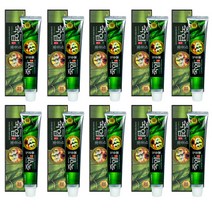 LG 죽염 잇몸고 치약세트 140gX10매, 10개, 140g