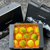 명절 선물세트 프리미엄 제주 황금향 2.5kg