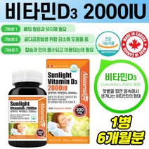 식약처인증 여성 골다공증 감소 햇빛못볼때 비타민D3 칼슘 보충제 실내생활 직장인 중년 청소년 노인 뼈건강 면역 뼈튼튼 Sunlight VitaminD 2000IU 어린이 외출못할때 햇살 추천