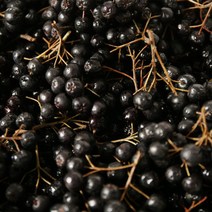 아로니아 생과 5kg 급냉동 국내산 신선하고 잘익은 생아로니아 햇 킹스베리 즙 주스 원액 엑기스 분말 가루 효능 먹는법 비타민 폴리페놀 베리중 안토시아닌이가장높음 강력한항산화식품