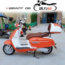 V맥시 300cc 150cc 테일박스 오토바이 트렁크 캐리어 배달통 바이크 가방, 15. 15