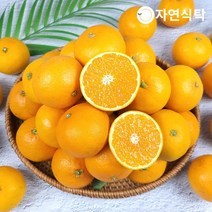 [제주직송]국내산 오렌지 제주 청견 4.5kg 랜덤과, 없음