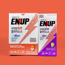 엔업 팔라티노스 등산 마라톤 자전거 에너지젤 파워젤, 3.파워젤 팔라티노스 사과맛 (6