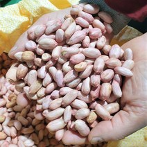 [여백견과건어물] 2022년산 국내산 햇생땅콩 500g 1kg, 국내산 햇생땅콩 500g(지퍼백), 1개
