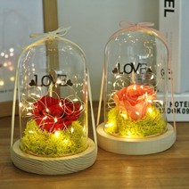 프리저브드 장미 LED 플라워 유리돔 무드등 여자친구 선물 기업 감사 축하 행사 졸업식 부부의날 결혼, 핑크 장미 프리저브드