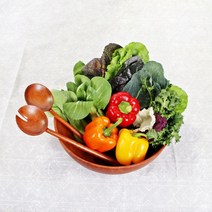 [센에코]마호가니통원목우드샐러드볼/L XL XXL옵션중 선택1/나무그릇/샐러드볼/원목그릇/간식그릇/친환경샐러드볼, 3.우드 샐러드볼XXL