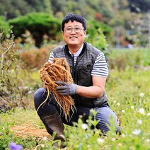 햇 약도라지 강원도 홍천 3년근 이상 재배한 생 도라지 1kg 산지직송, 1box, 약도라지 (중)1kg