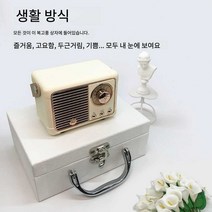 레트로 블루투스 스피커 무선 선물 소형 캠핑 차박, 사막낙타(맞춤모델) 맞춤모델