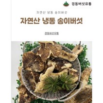 [경동버섯유통 송이 능이]자연산 송이버섯/ 냉동 1pk 냉동송이/특HB HB P P3/1kg, HB(1kg)