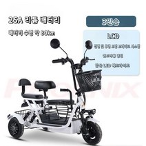 3인승 전기자전거 애견 동반 출퇴근 스쿠터 펫바이크, C