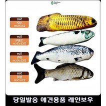 캣닢 고양이애착인형 고양이키울때 고양이용품샵 고양이키우는법 새끼고양이키우기 고양이소품