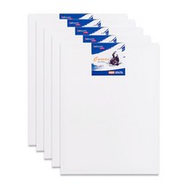 [아트메이트]전문가용 면천 캔버스 50호 P 116.8*80.3cm (5개입), [6616751]옵션없음