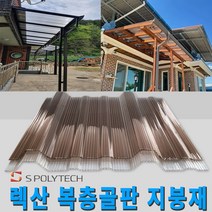 복층골판 일반형 렉산 폴리카보네이트 넥산 지붕재 온실 주택 해가림 비가림 축사, 1000X3000(일반형), 투명