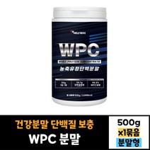 에너데이 농출 유청 단백질 WPC 전용스푼 포함 500g 건강분말 가루