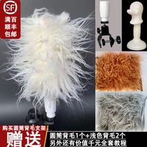 연습용 자격증 애견미용 견체 시저링 커트 위그램클립 모형 무스타슈 테디베어, 단일사이즈, 뒷머리 브라켓 세트