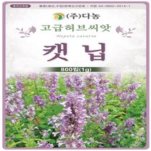 개박하(캣닙) 허브 씨앗 20g