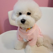 [복슬복슬야옹야옹]복야 데일리 강아지 고양이 무지 솔리드 티셔츠, 블루