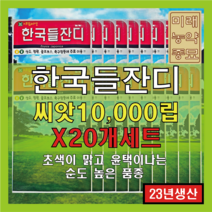 [23년산 국내생산] 잔디 씨앗/한국들잔디 만립(10000립) (X20개세트) - 산소용 정원용 골프장용 축구장용, 20개