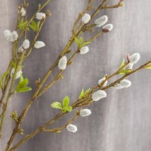 기타 바보사랑[플라워트리]버들강아지가지 95cm(조화)