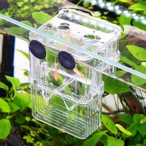 어항 수조 부화통 치어 물고기키우기 격리 칸막이 산란통 부화 번식 구피 열대어