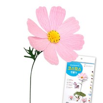 종이꽃 만들기 키트 코스모스 미술 놀이 공예 수업재료 방과후수업 어린이집 학교 유치원