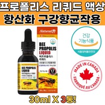 캐나다산 비프로폴리스리퀴드 프로폴리스추출물 3통 어린이프로폴리스 프로폴리스스프레이추천 구강프로폴리스 뉴질랜드프로폴리스액상 프로폴리스면역력 프로폴리스브랜드 수용성프로폴리스