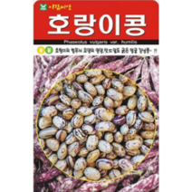 굵은 덩쿨 호랑이콩 씨앗(30g) (A0146)
