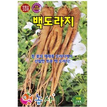 백도라지씨앗 1000립, 백도라지 (1000립), 1개