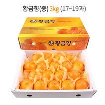 제주 황금향 선물세트 3kg (중과) 17-19과 / 하우스 노지 고당도 귤 감귤 밀감 레드향 천혜향 카라향 청귤 수라향 신비향 가정용 추석 명절 설 감사 은사 선물 조생 타이벡, 5kg (중) 28-30과